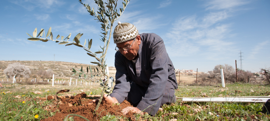 Sadaqa Jariya, des récompenses sans fin 