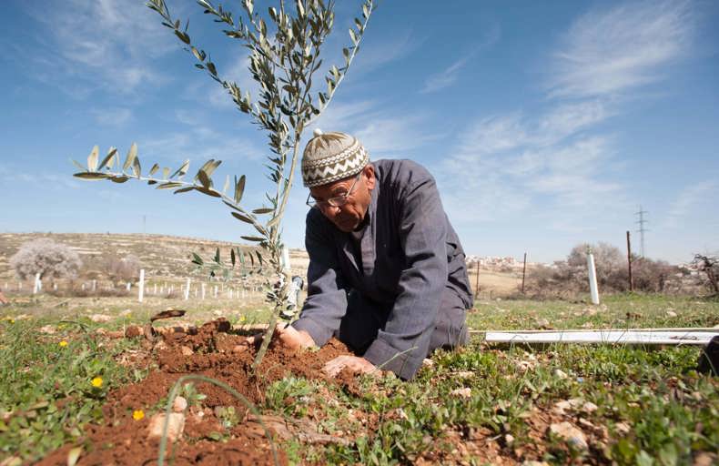 Réalisez une aumône continue pour la Palestine