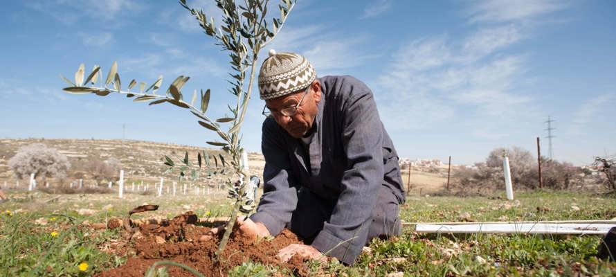 Réalisez une Sadaqa Jariya pour la Palestine